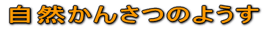 R񂳂̂悤